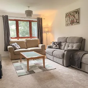 Spacious, And Newly Decorated Apartamento